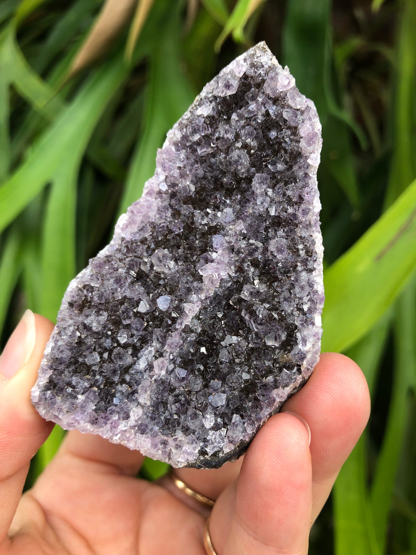 Amethyst Geode