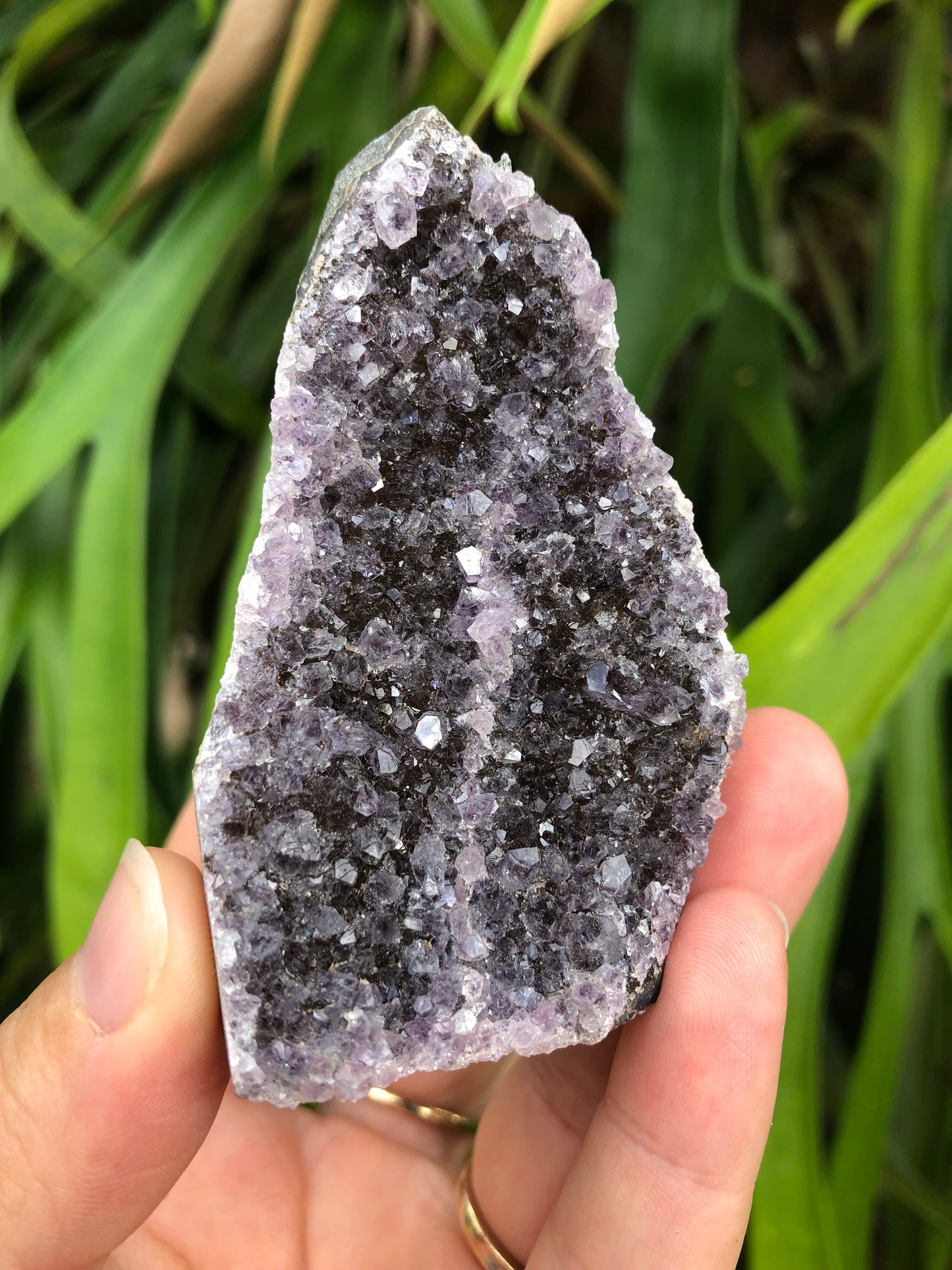 Amethyst Geode