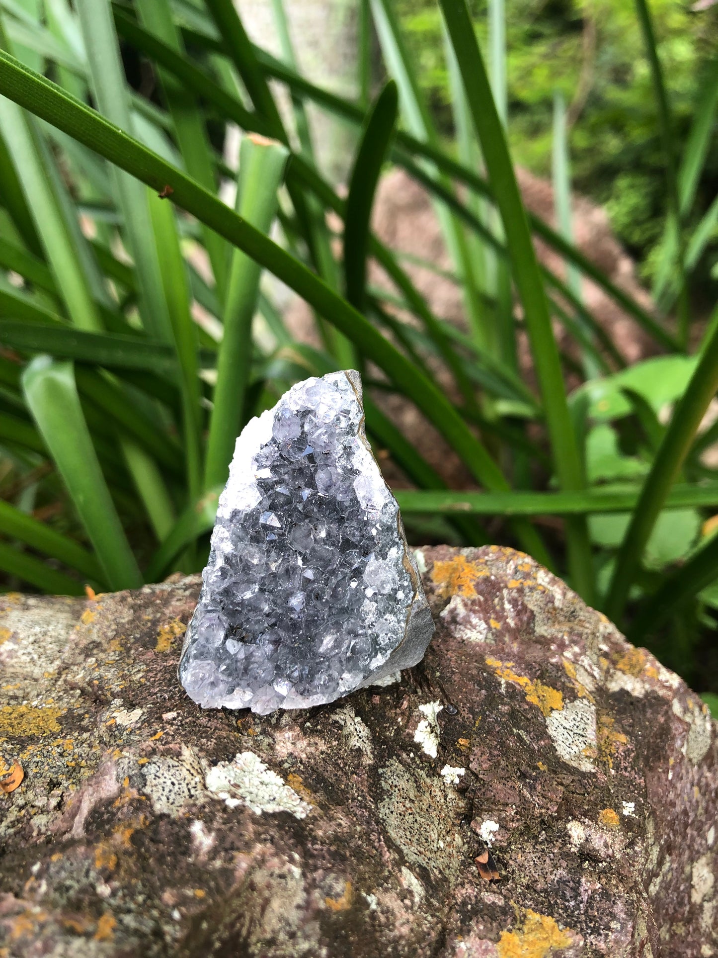 Amethyst Geode