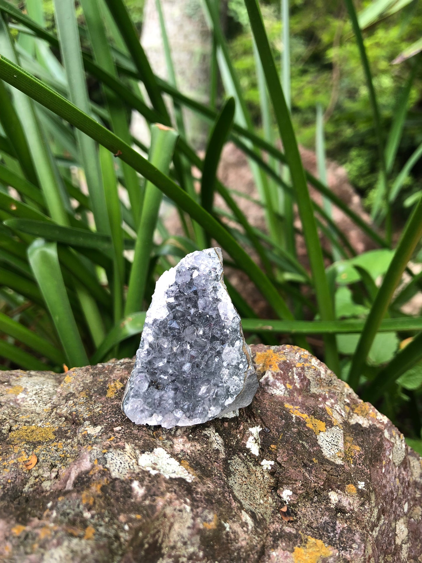 Amethyst Geode