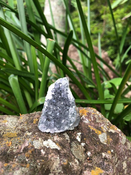 Amethyst Geode