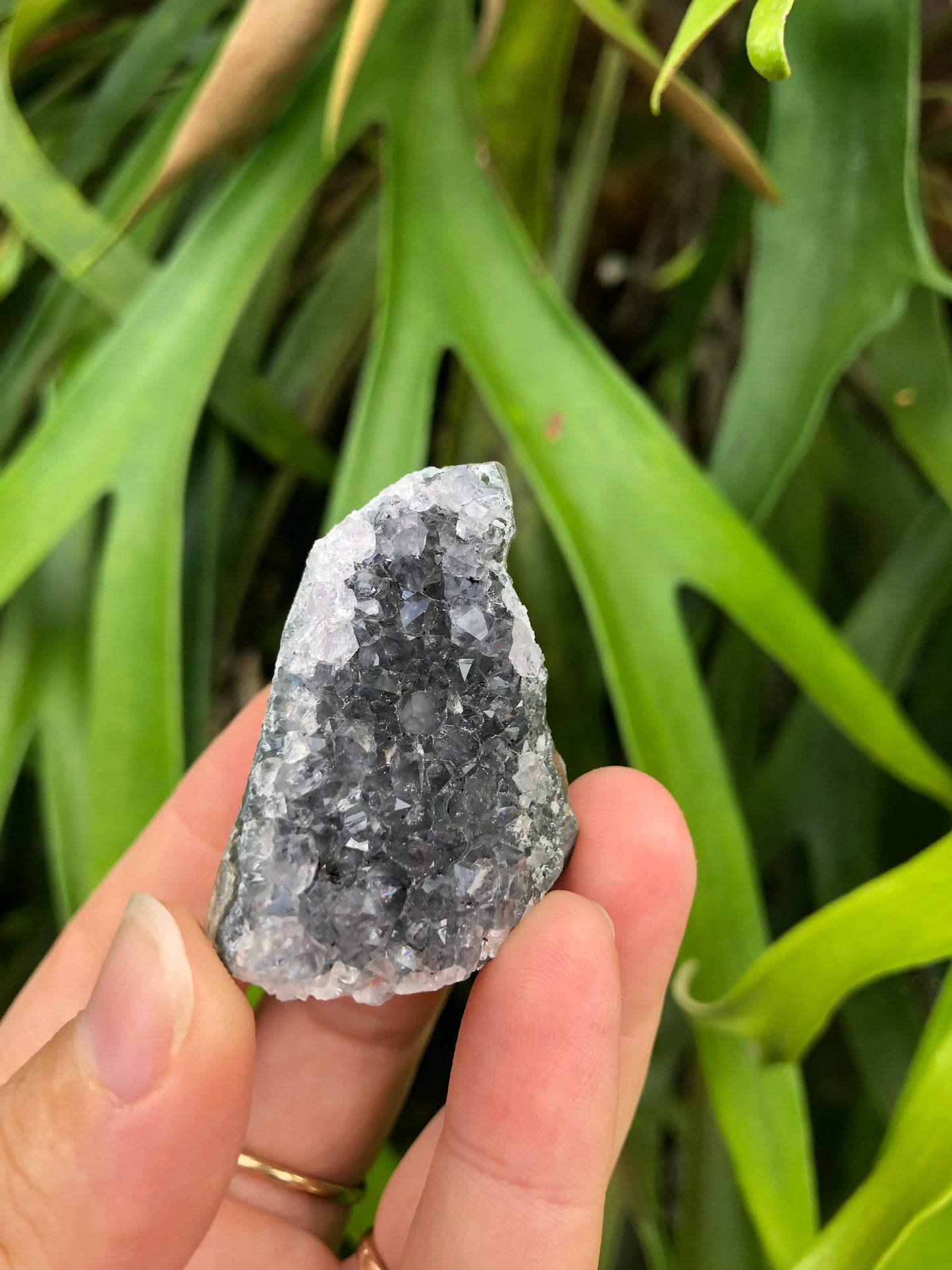 Amethyst Geode