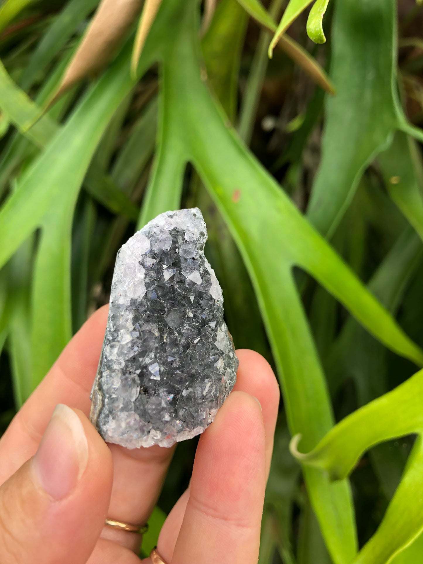 Amethyst Geode