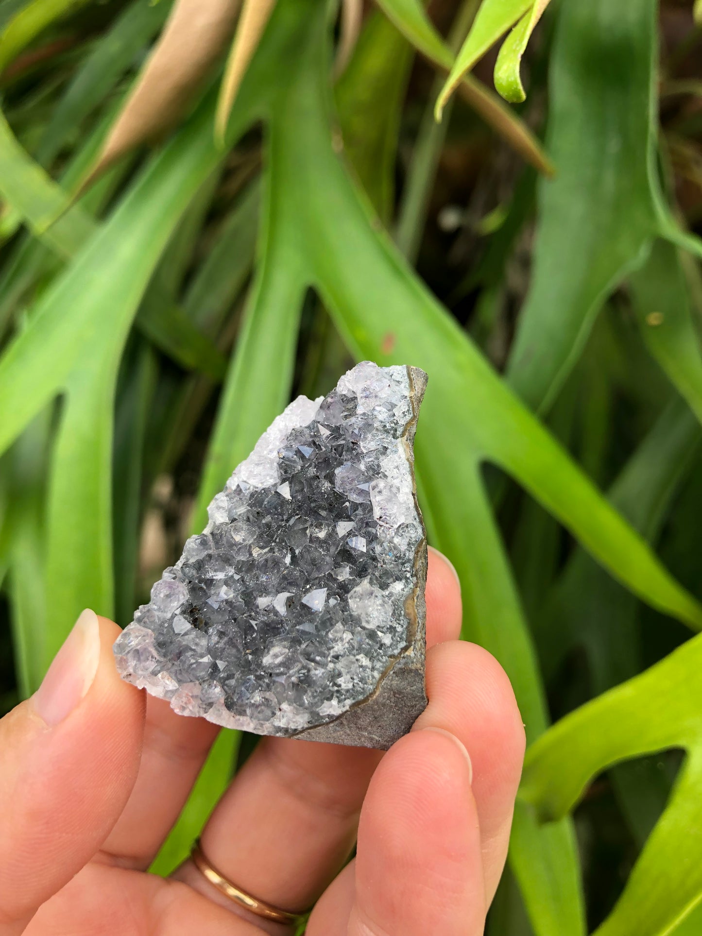 Amethyst Geode