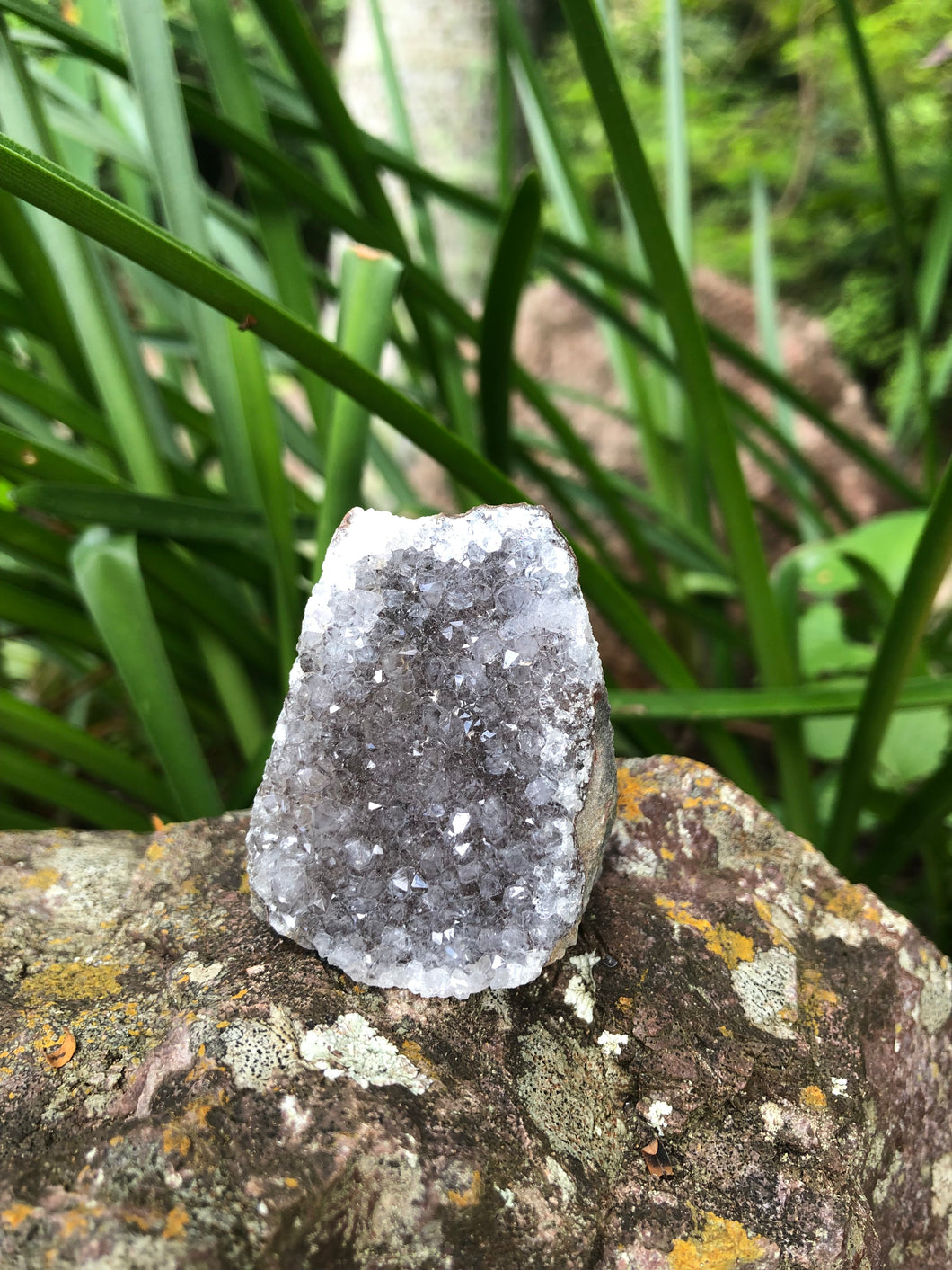 Amethyst Geode