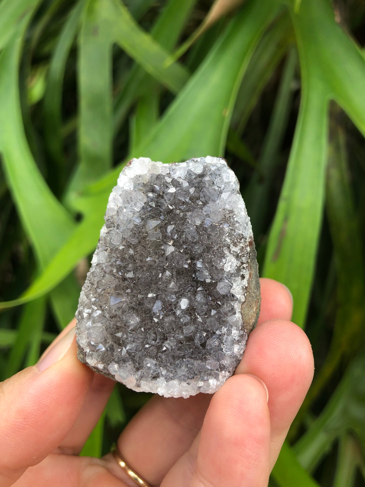 Amethyst Geode