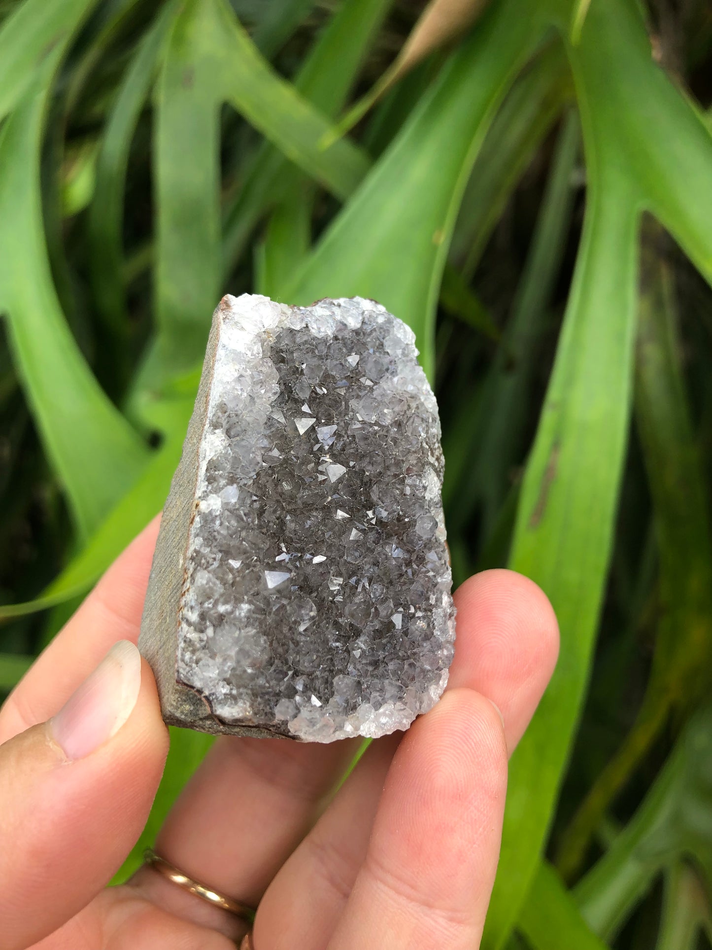 Amethyst Geode