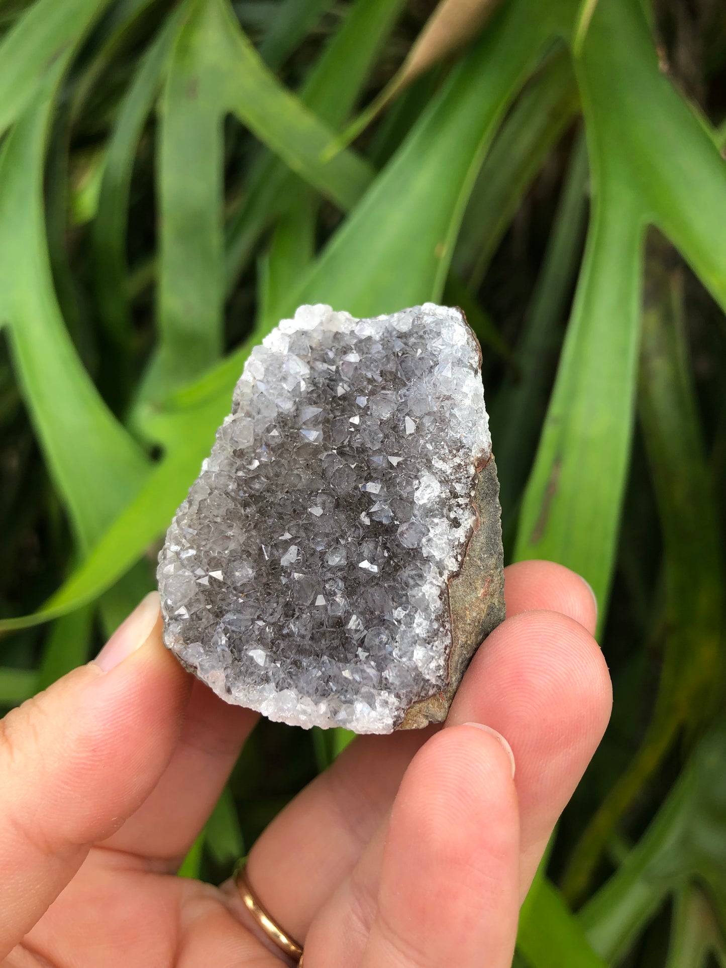 Amethyst Geode