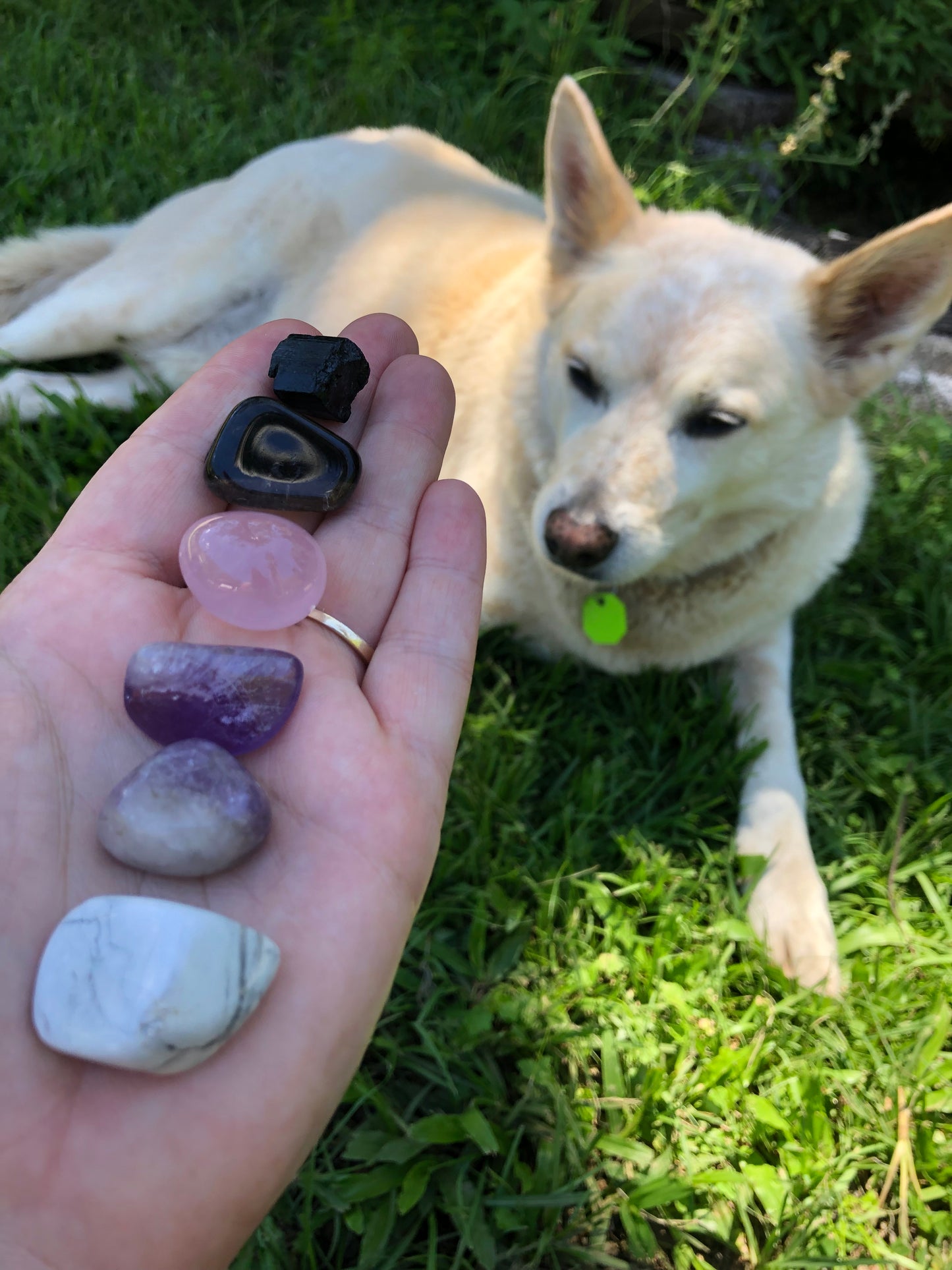 Wellness Crystal Kit