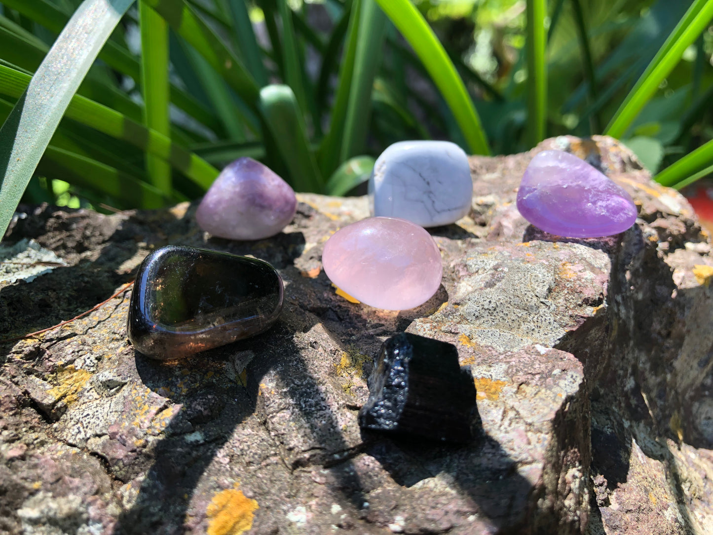 Wellness Crystal Kit