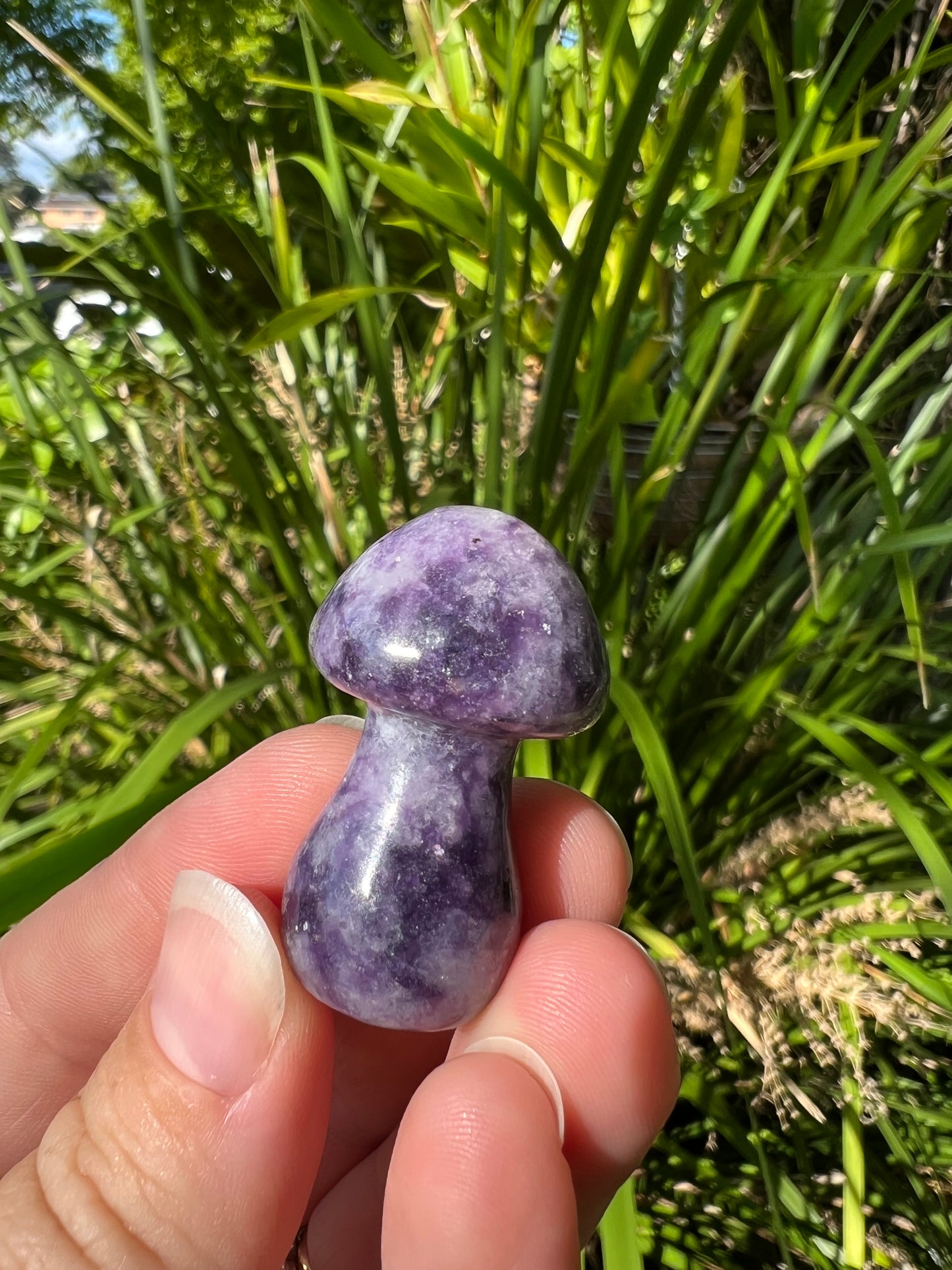 Lepidolite Mushroom