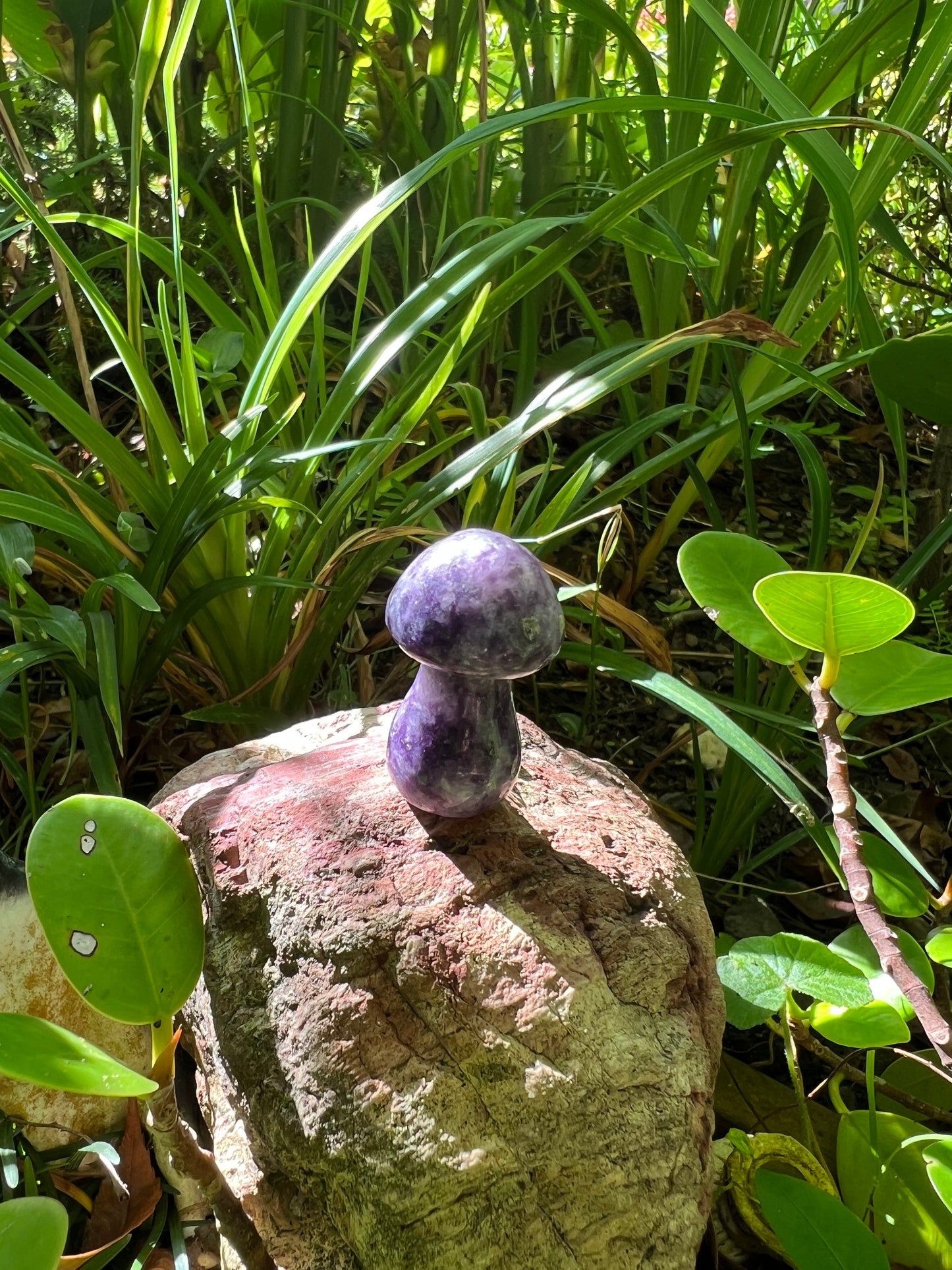 Lepidolite Mushroom