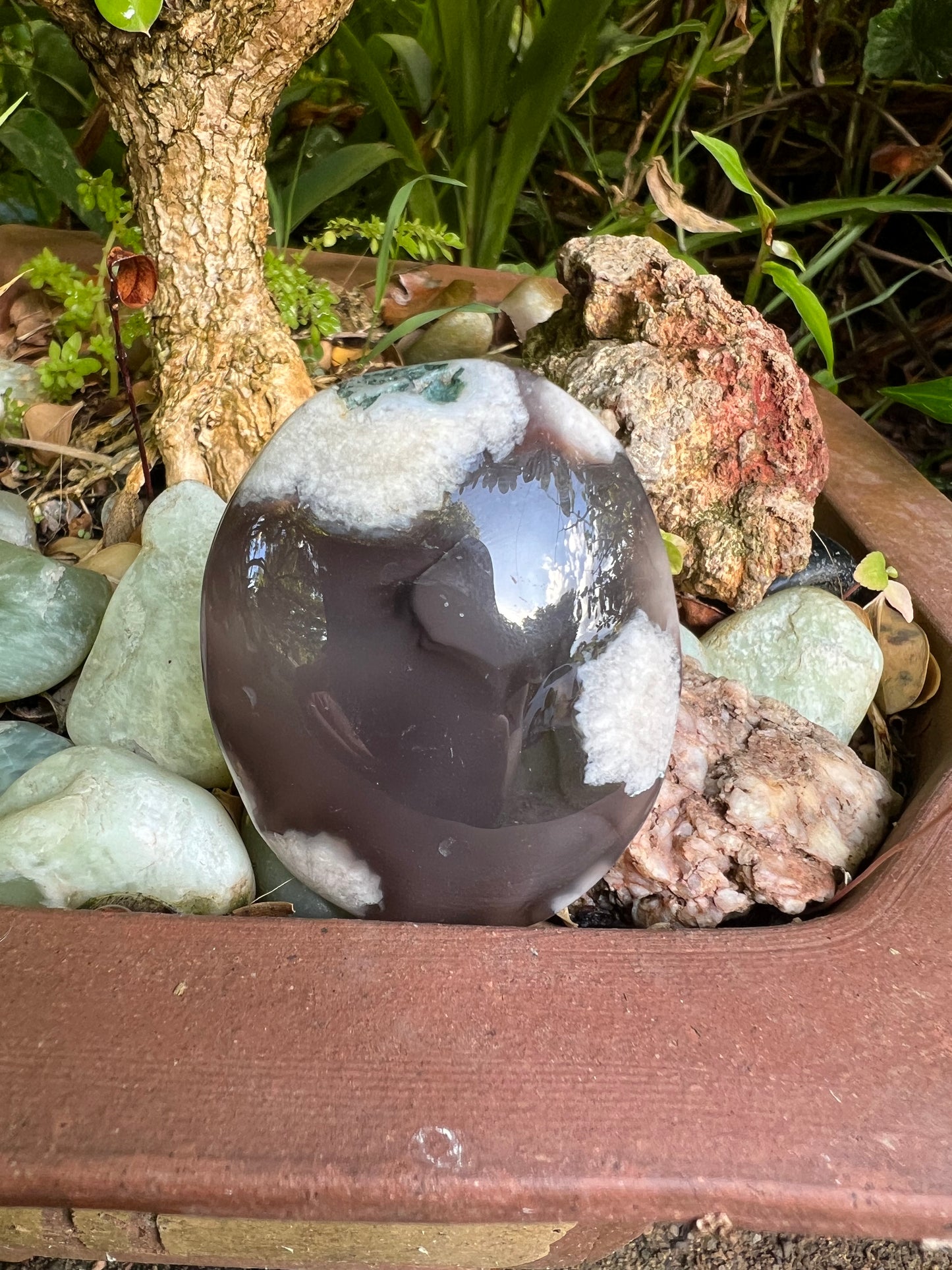 Black Flower Agate Palm Stone