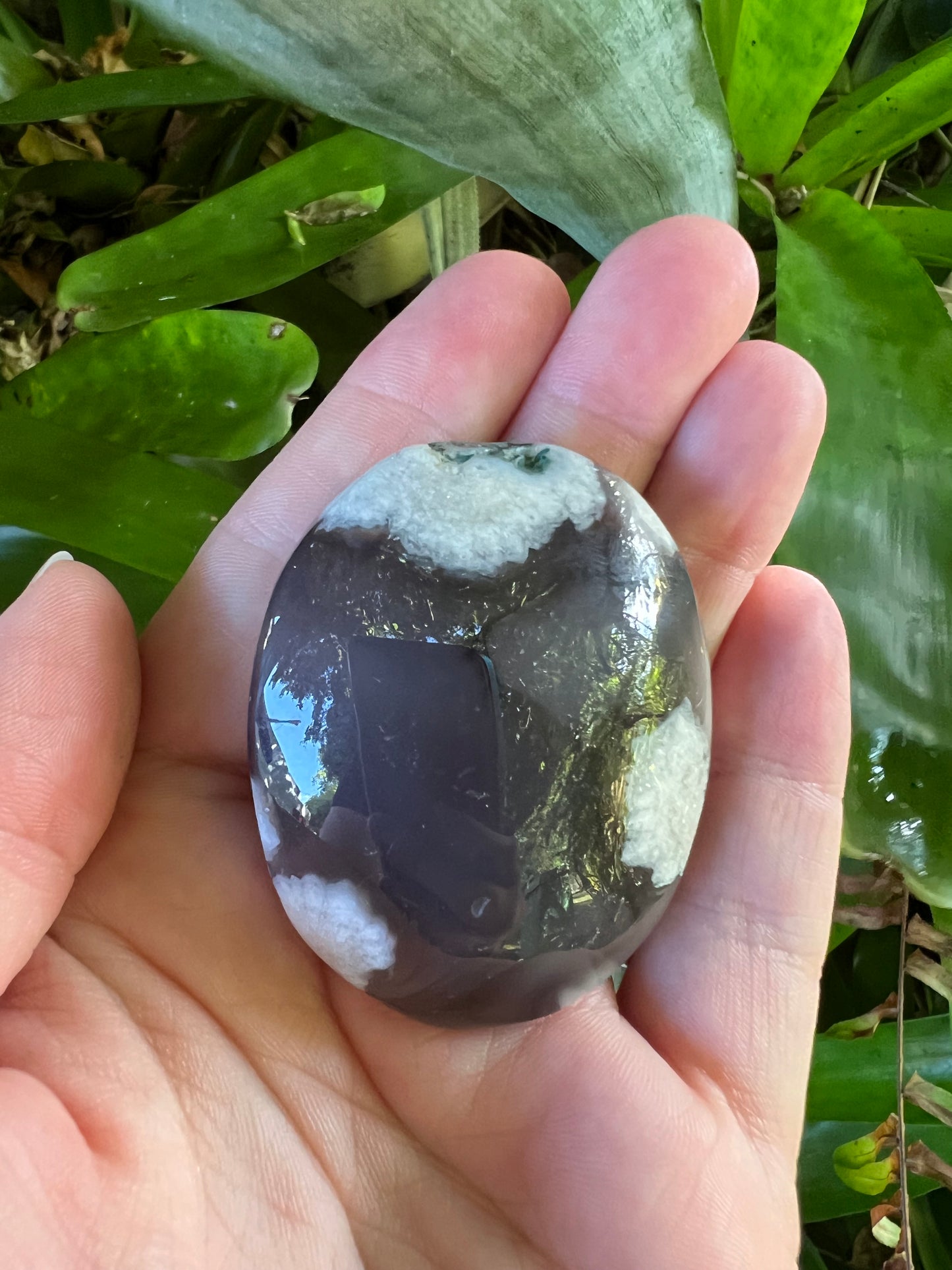 Black Flower Agate Palm Stone