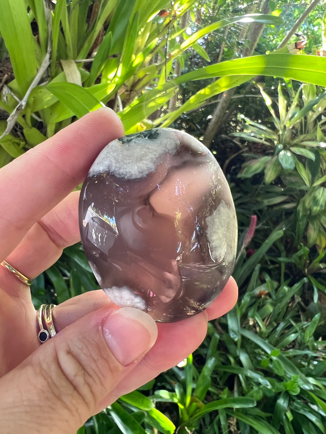 Black Flower Agate Palm Stone