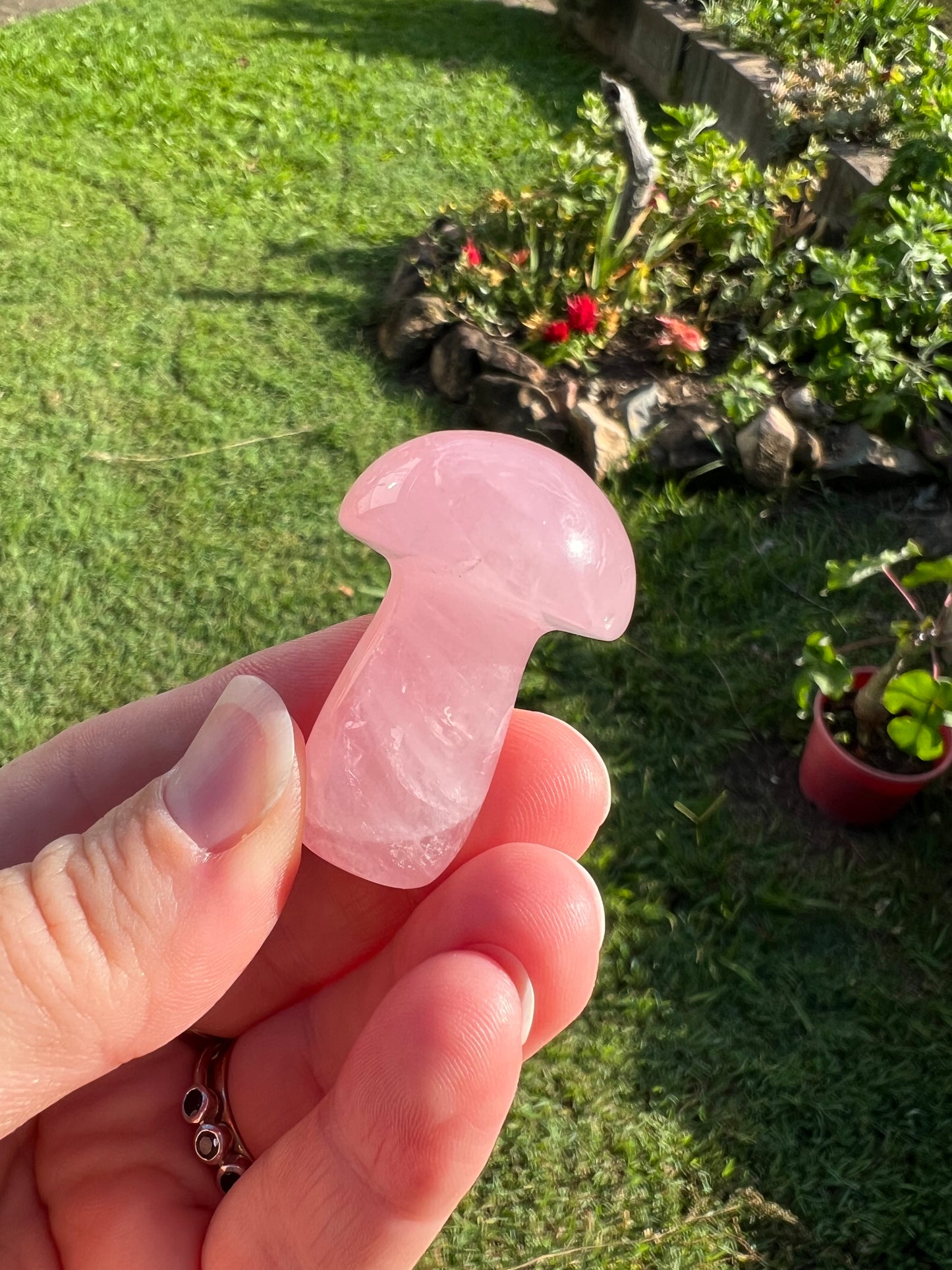 Rose Quartz Mushroom
