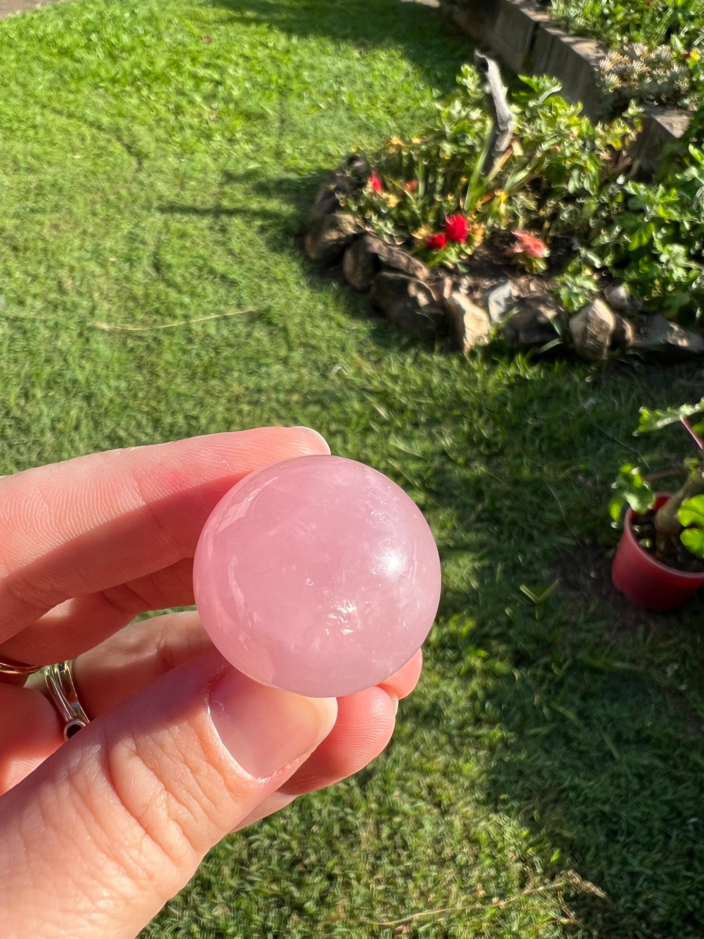 Rose Quartz Mushroom