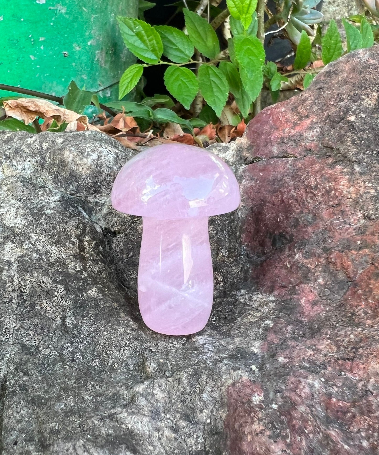 Rose Quartz Mushroom