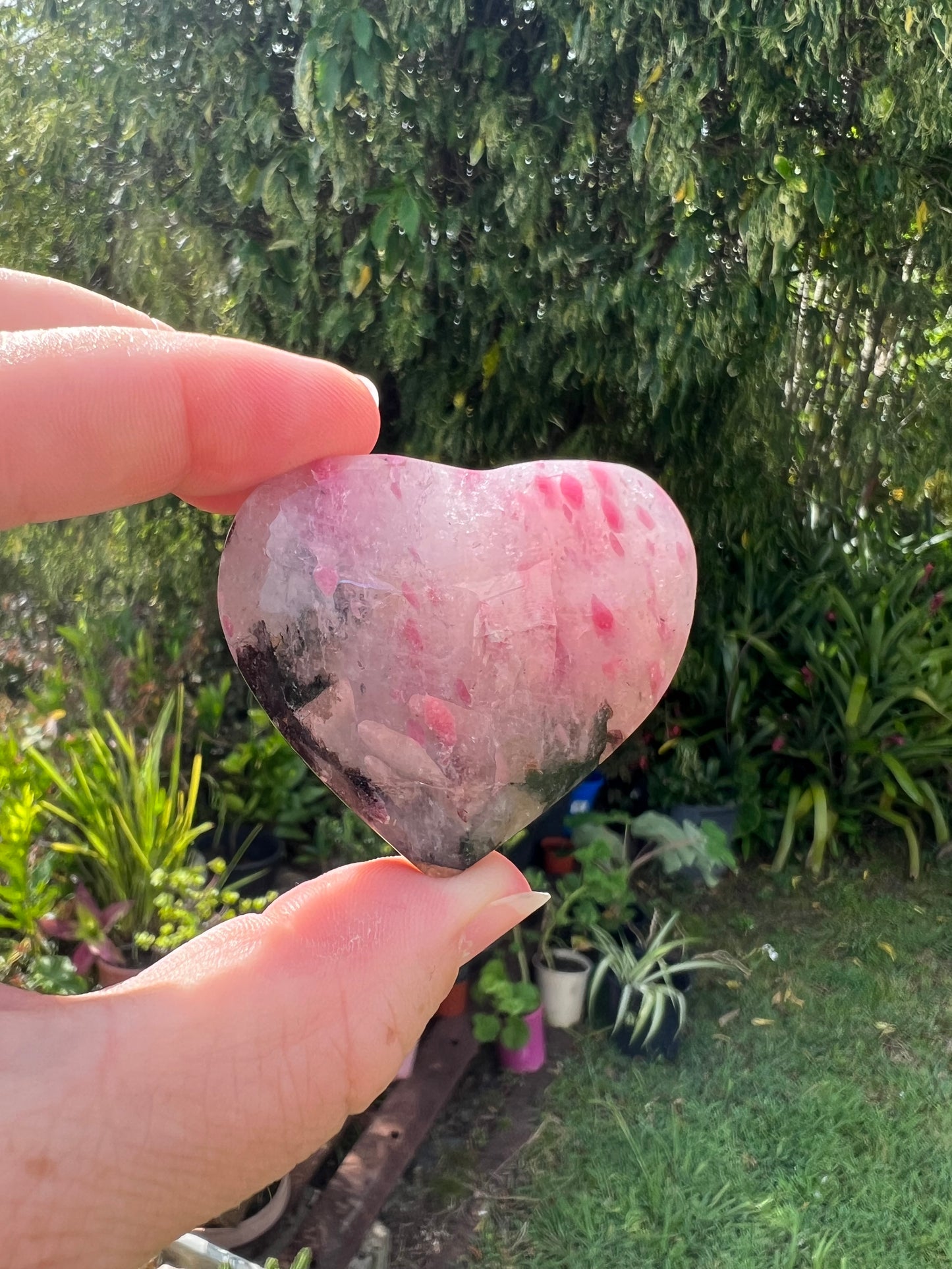 Rhodonite in Quartz Heart