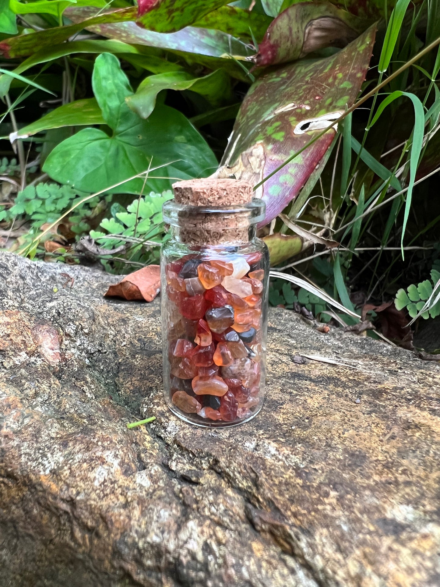 Carnelian Wish Bottle