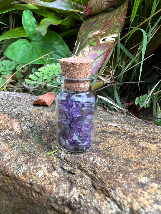 Amethyst Wish Bottle
