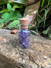 Load image into Gallery viewer, Amethyst Wish Bottle
