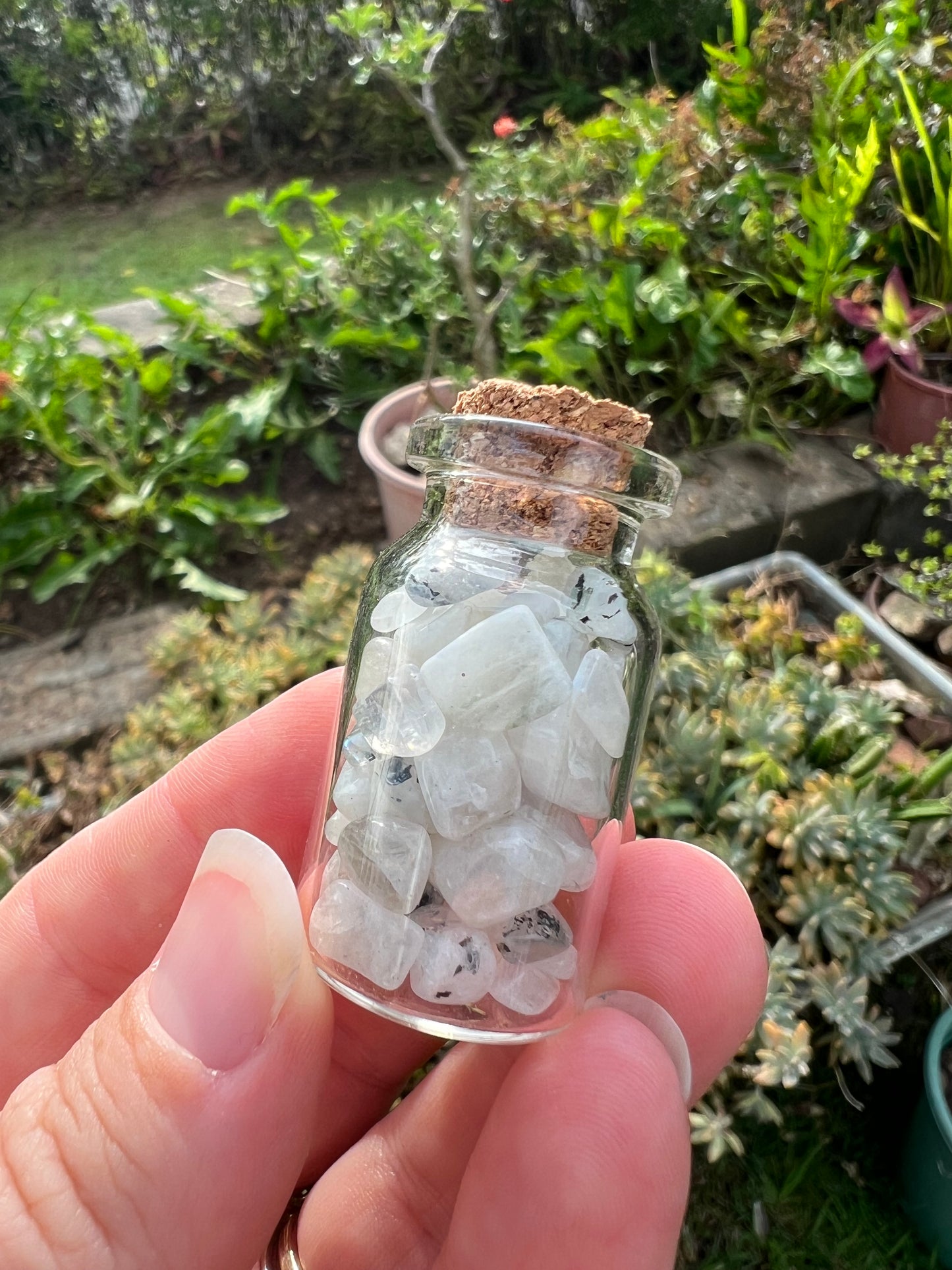 Rainbow Moonstone Wish Bottle