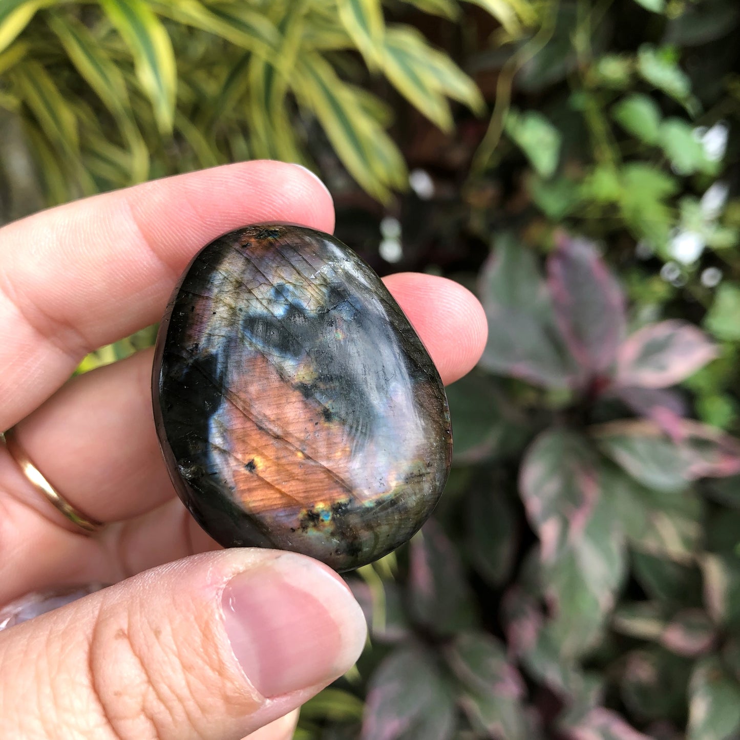 Labradorite Palm Stone