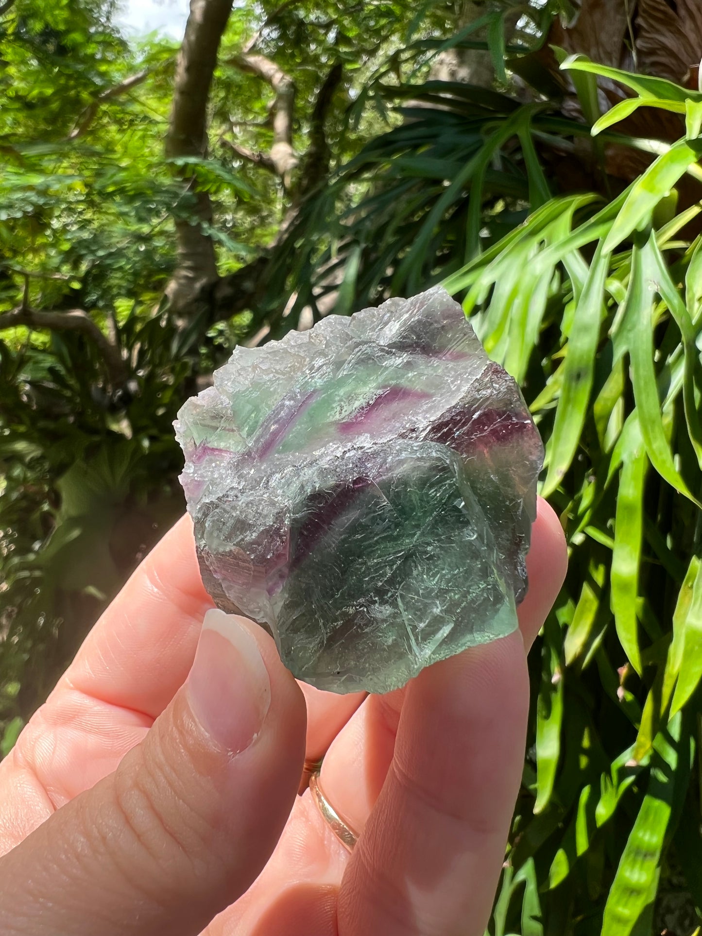 Rainbow Fluorite Specimen