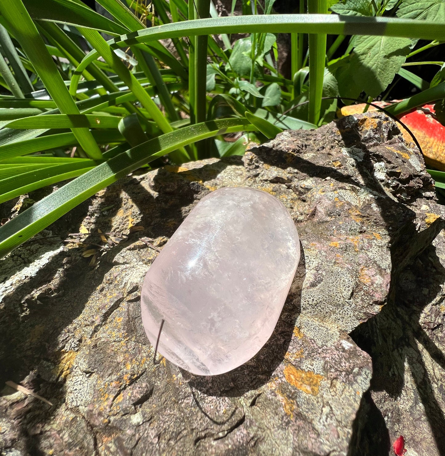 Rose Quartz Palm Stone