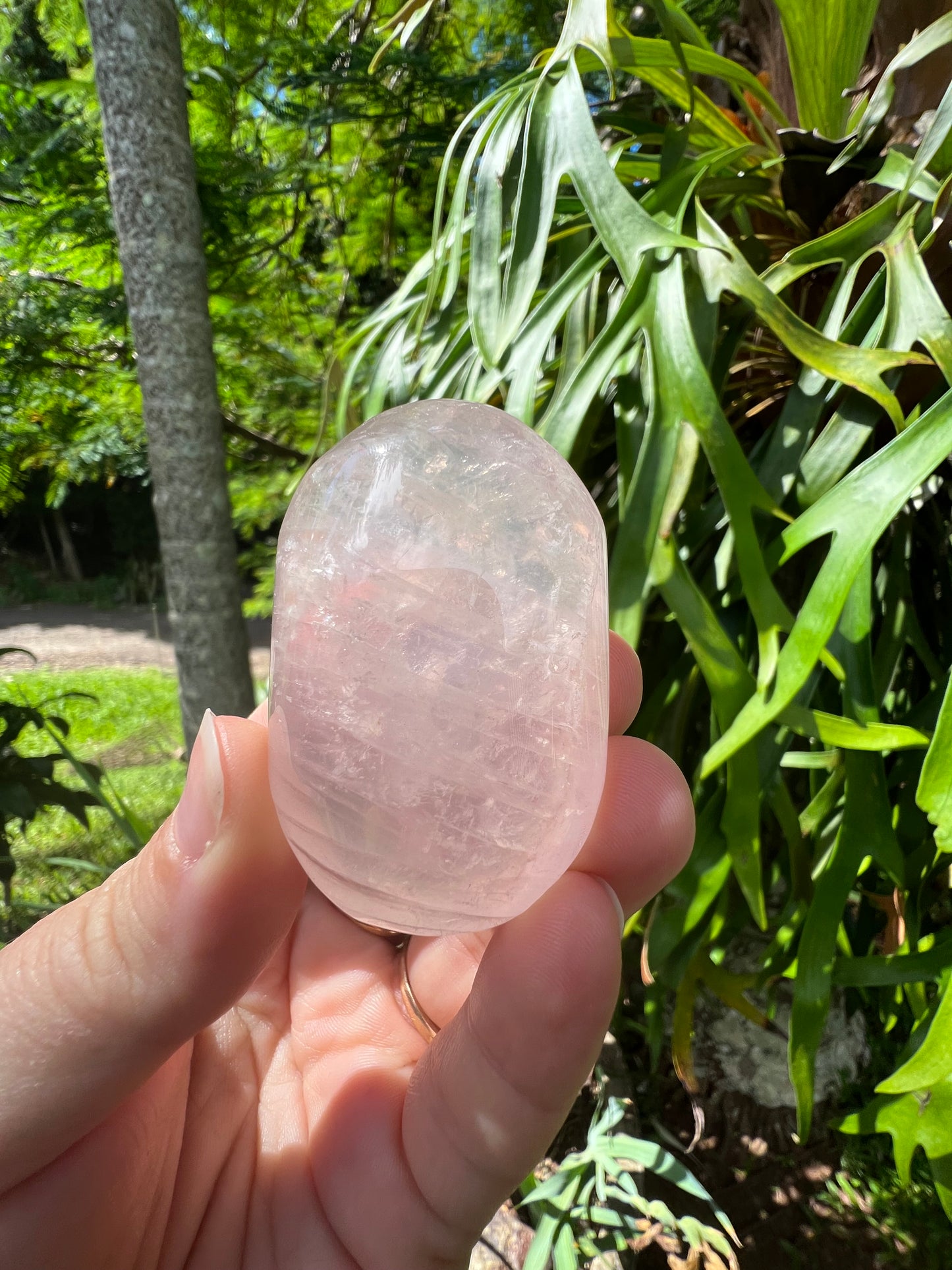 Rose Quartz Palm Stone