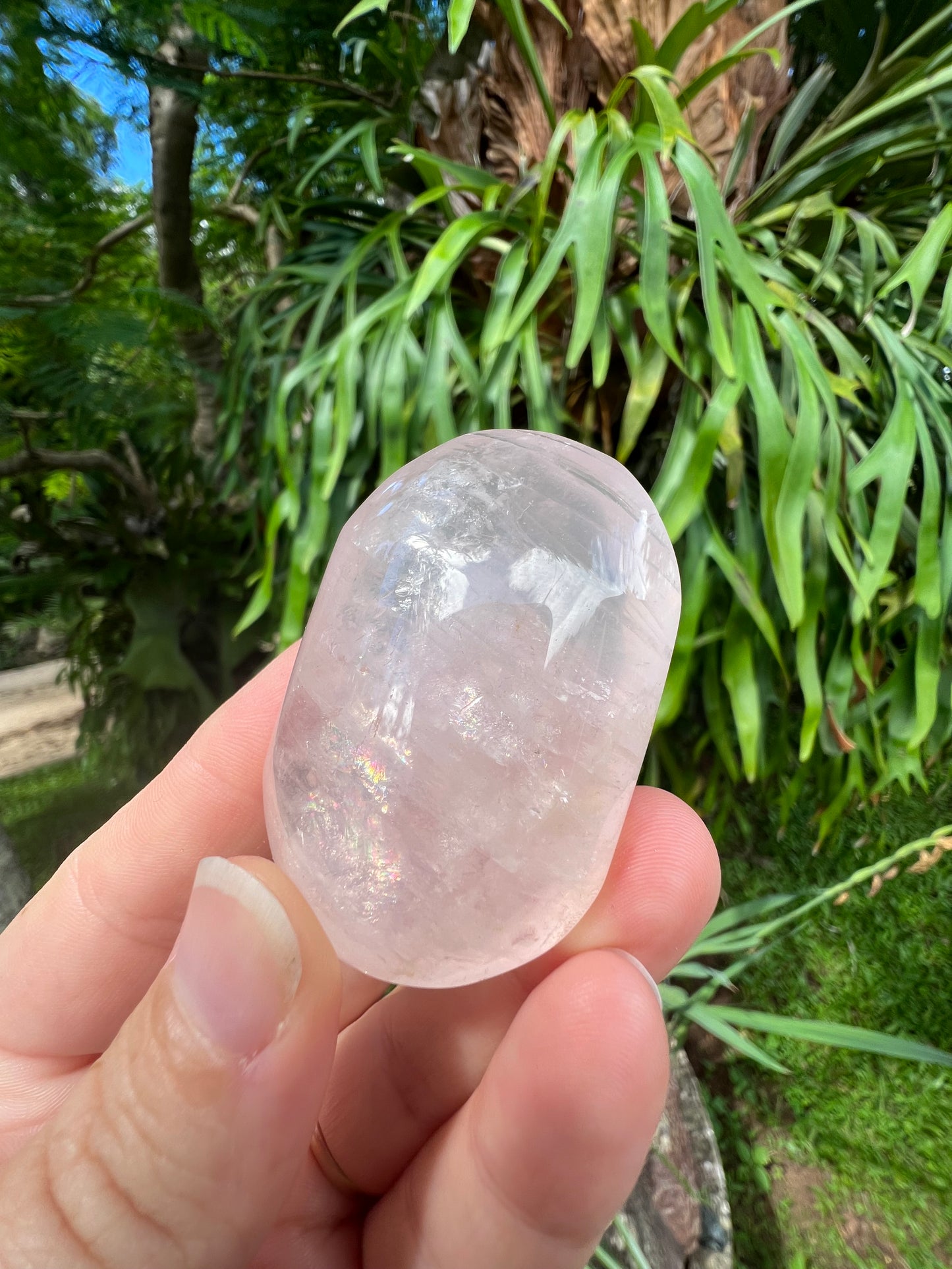 Rose Quartz Palm Stone