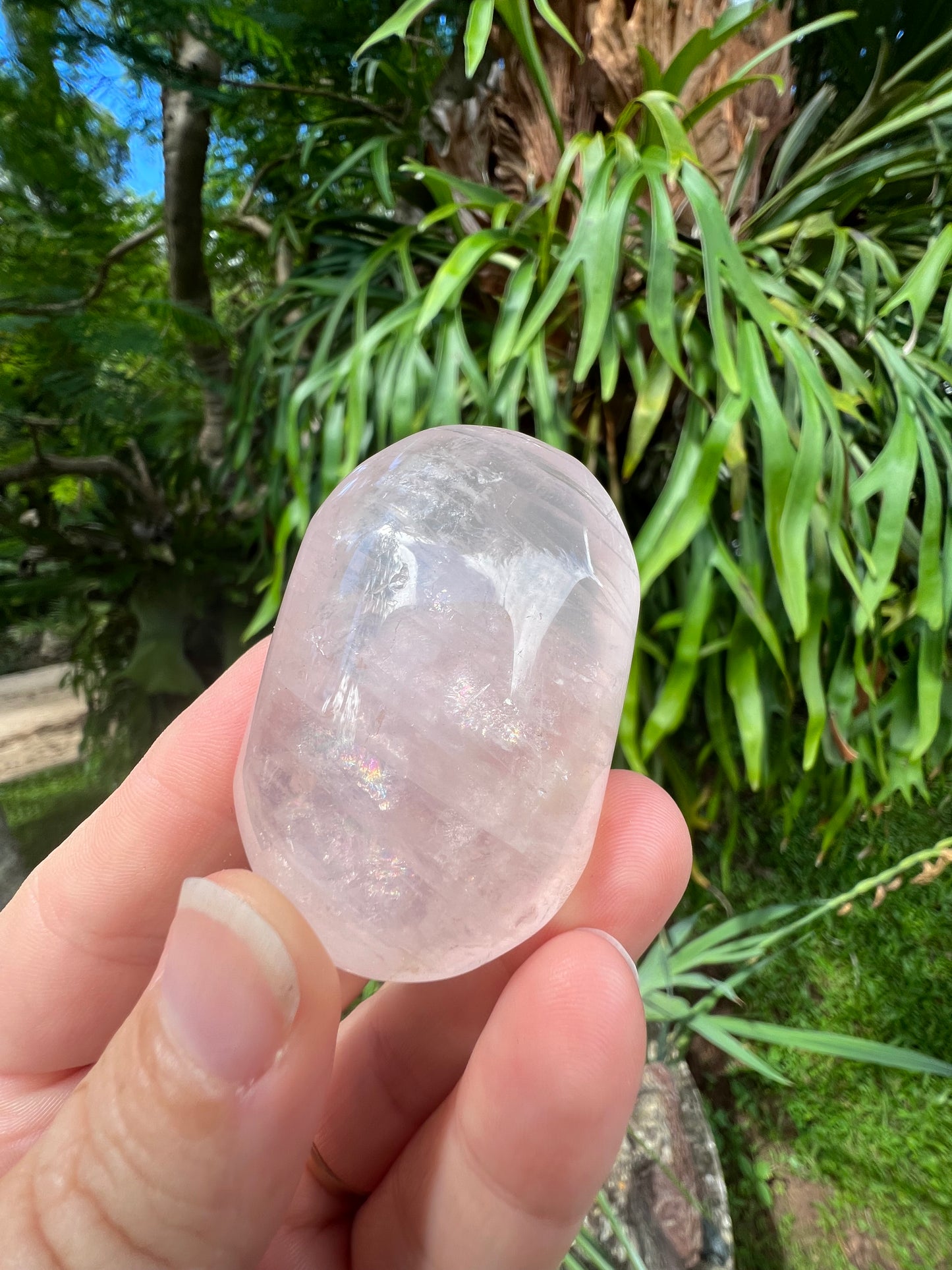 Rose Quartz Palm Stone