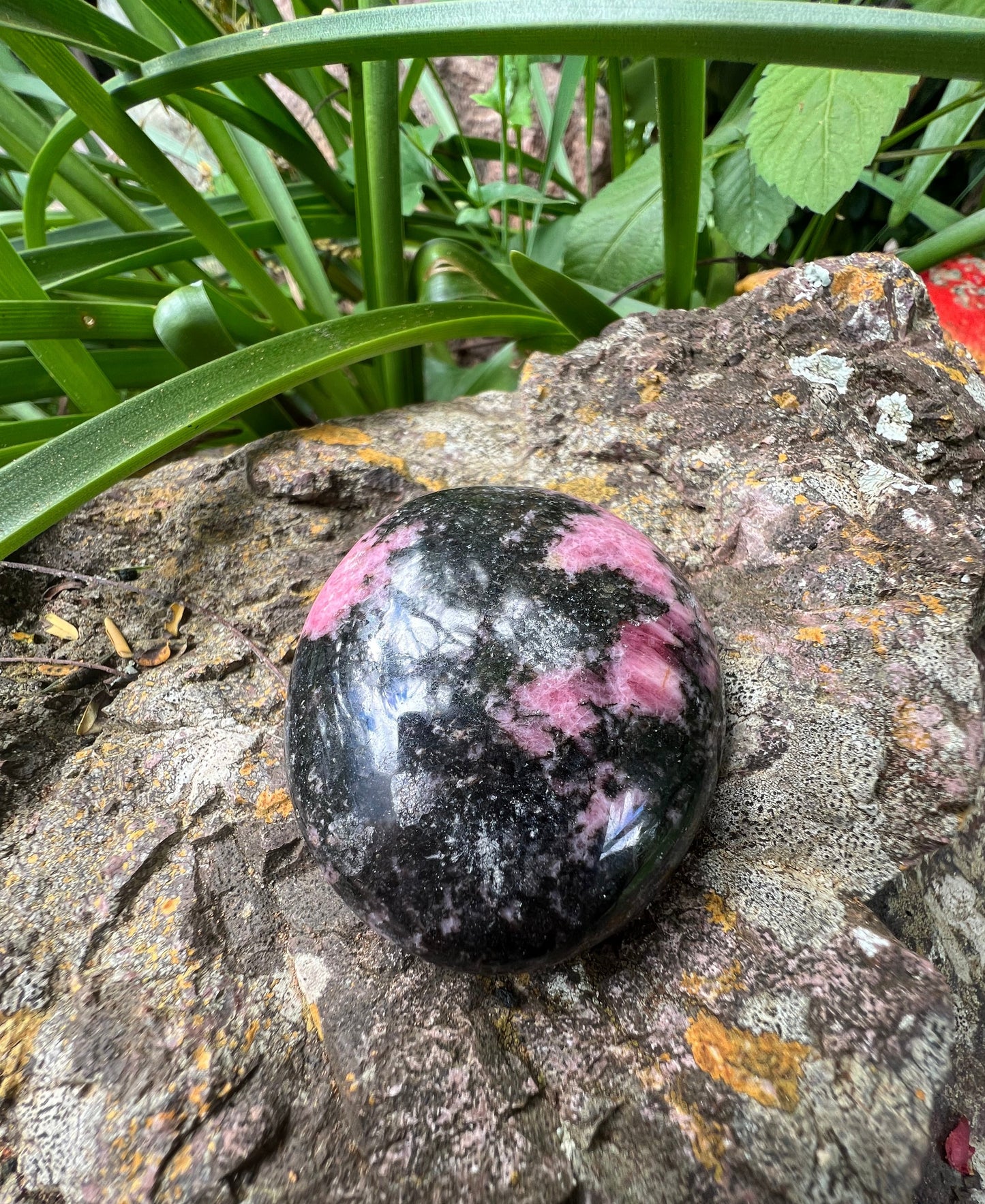 Rhodonite Palm Stone