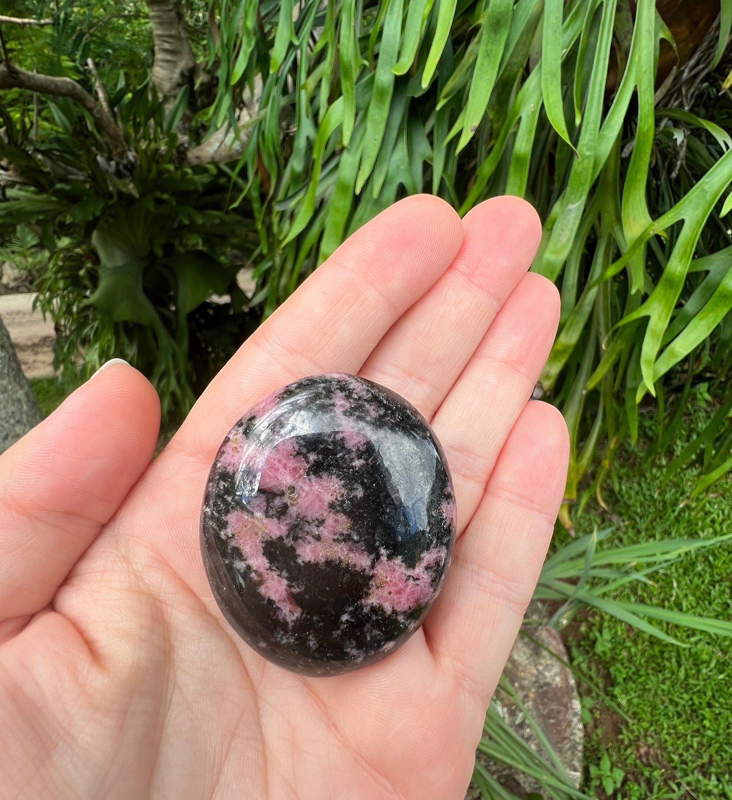 Rhodonite Palm Stone