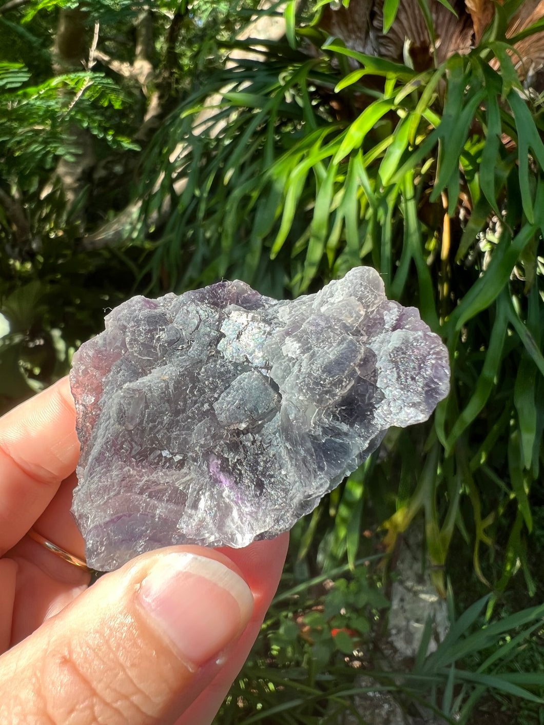 Rainbow Fluorite Specimen