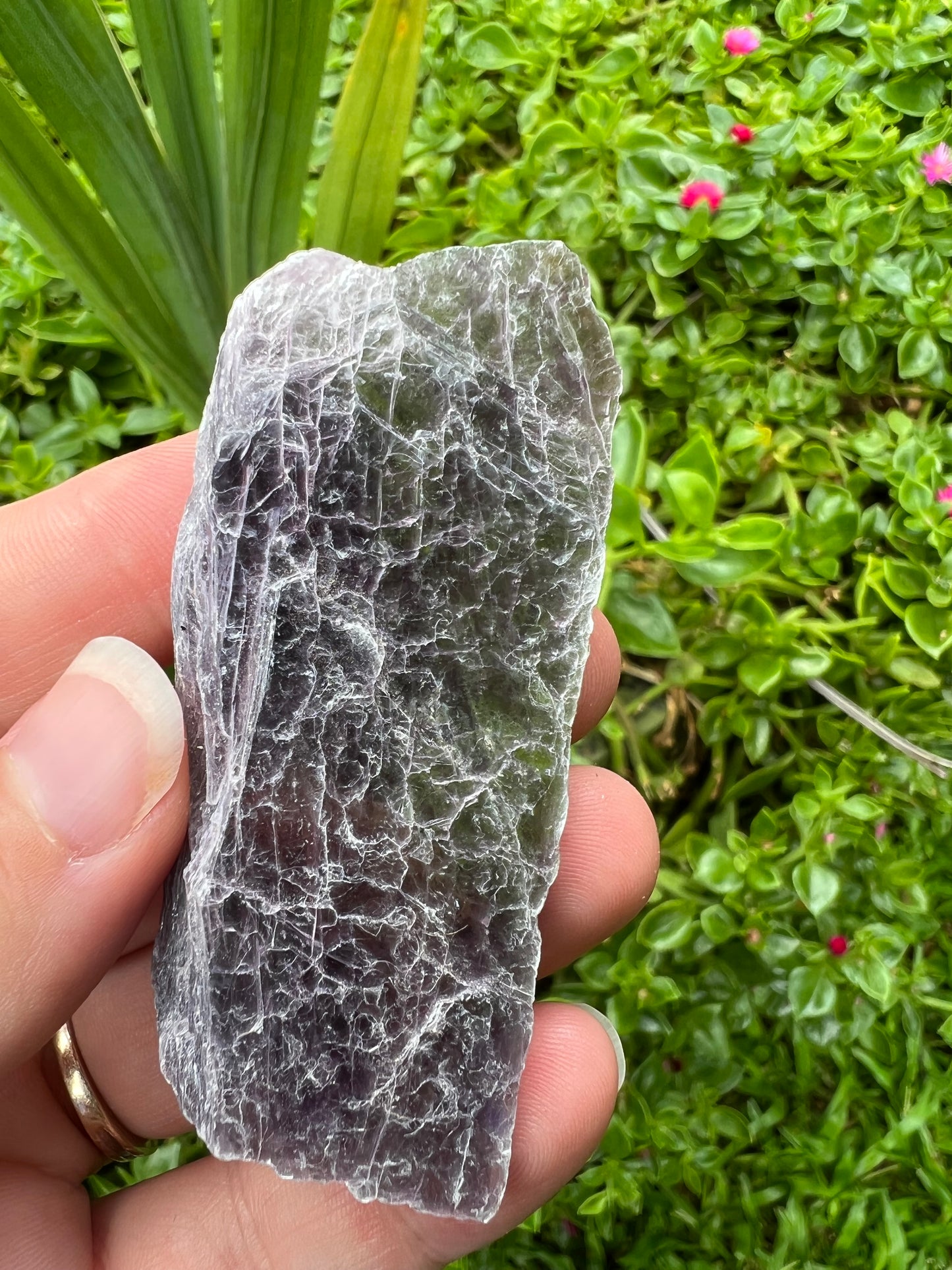 Raw Lepidolite