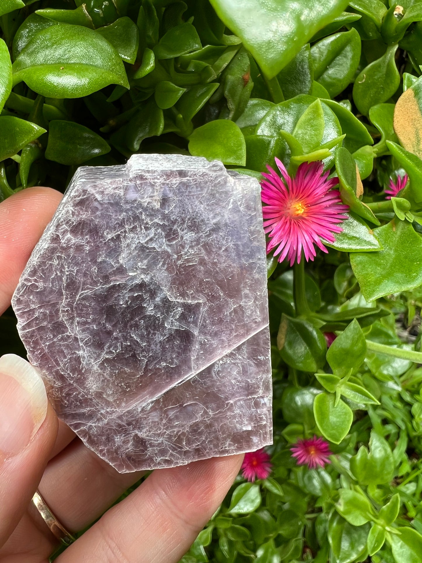 Raw Lepidolite