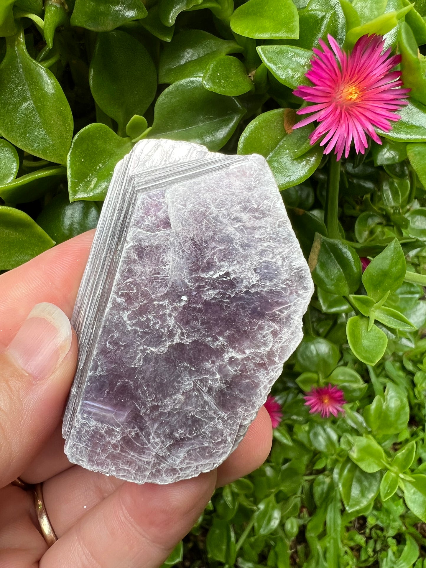 Raw Lepidolite