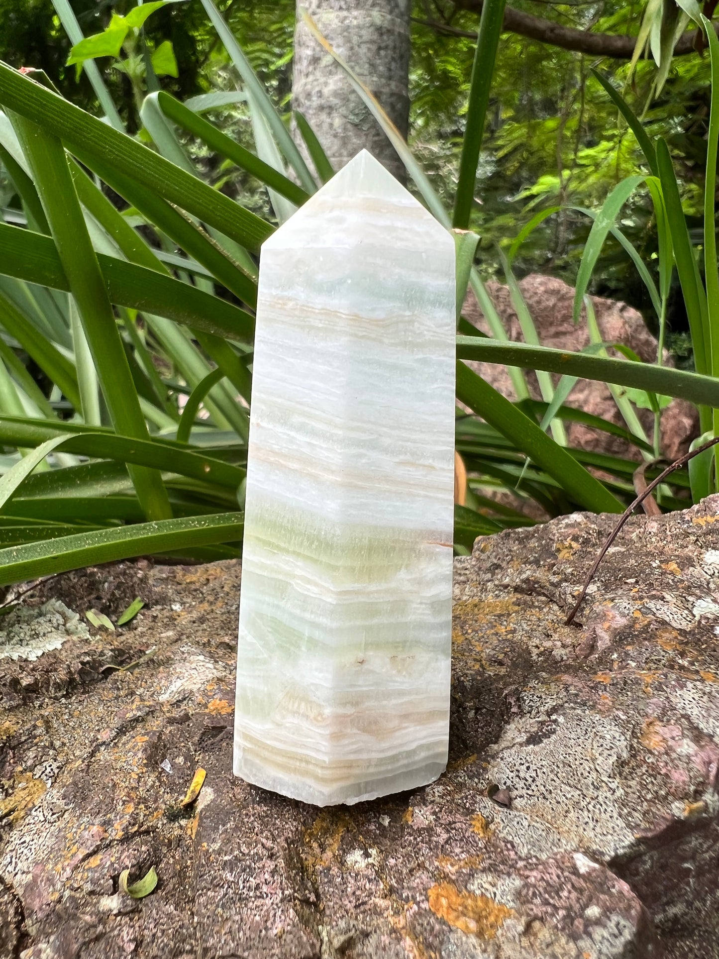 Caribbean Calcite Tower