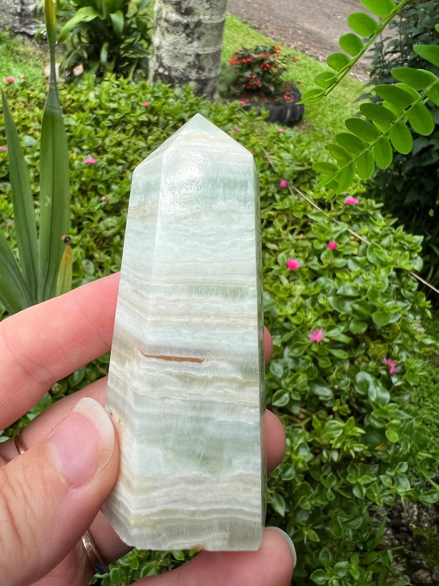 Caribbean Calcite Tower