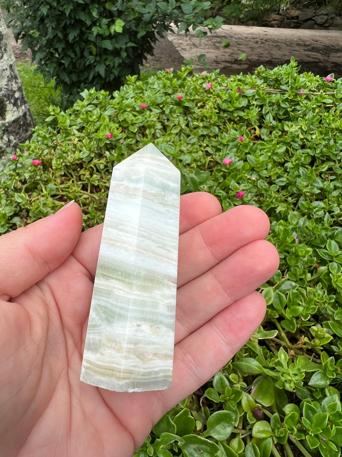 Caribbean Calcite Tower