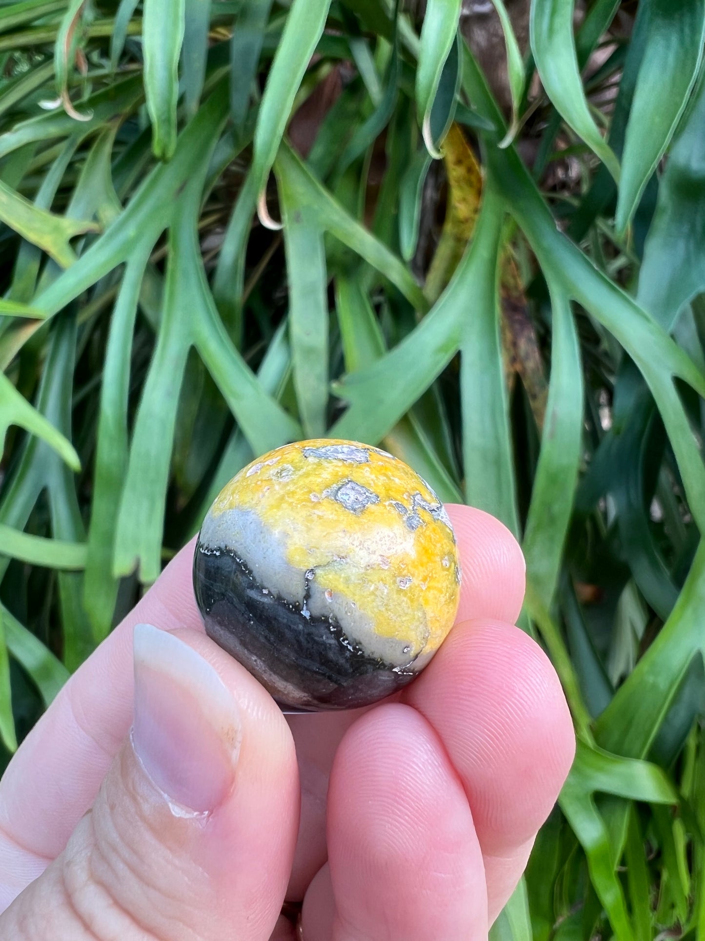 Bumblebee Jasper Sphere