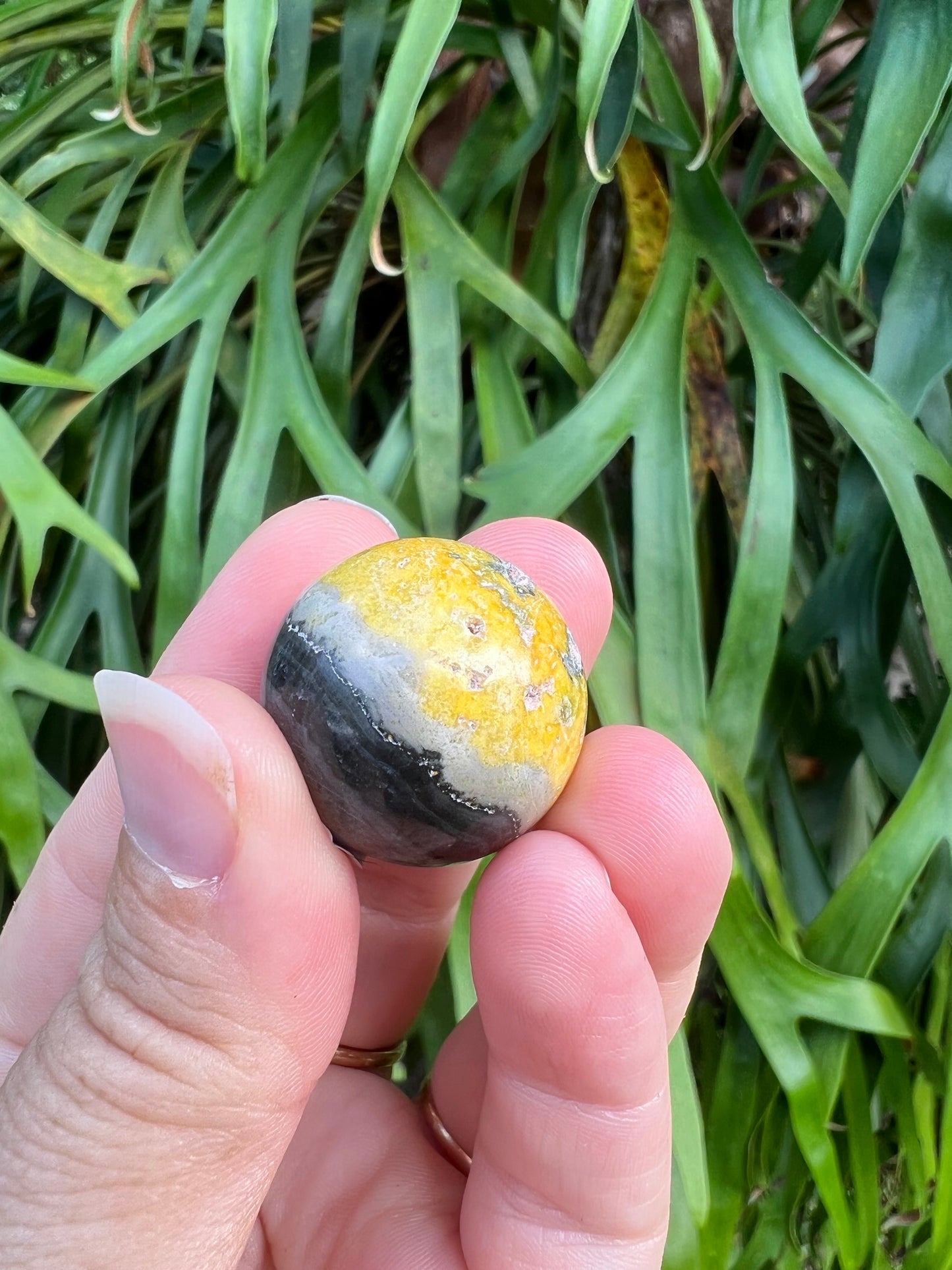 Bumblebee Jasper Sphere