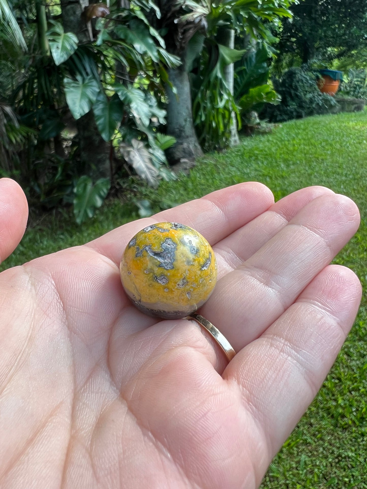 Bumblebee Jasper Sphere