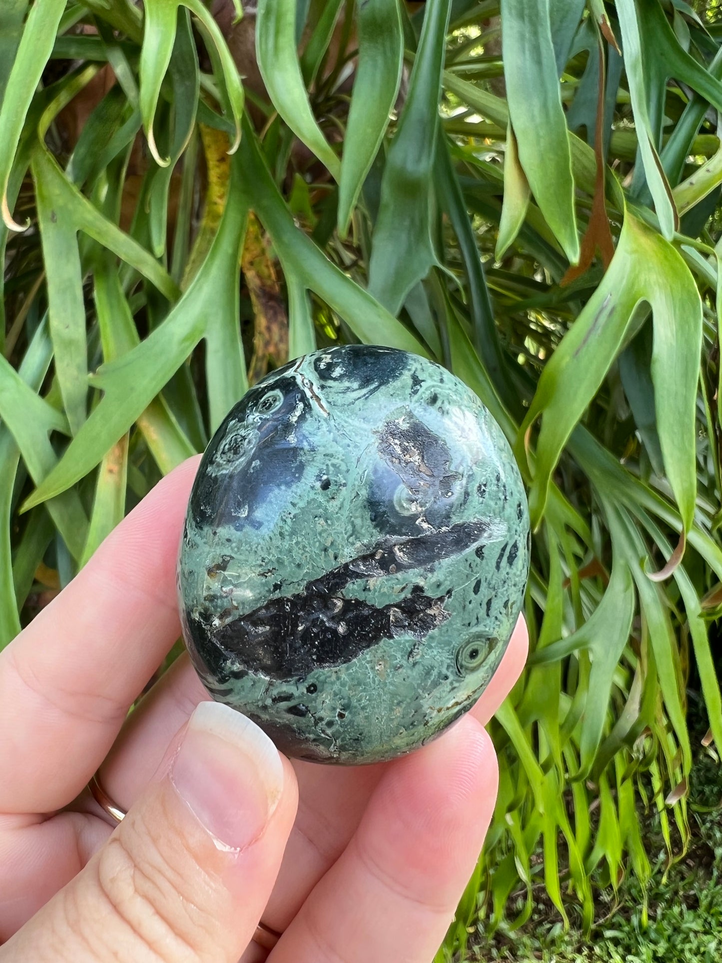 Kambaba Jasper Palm Stone