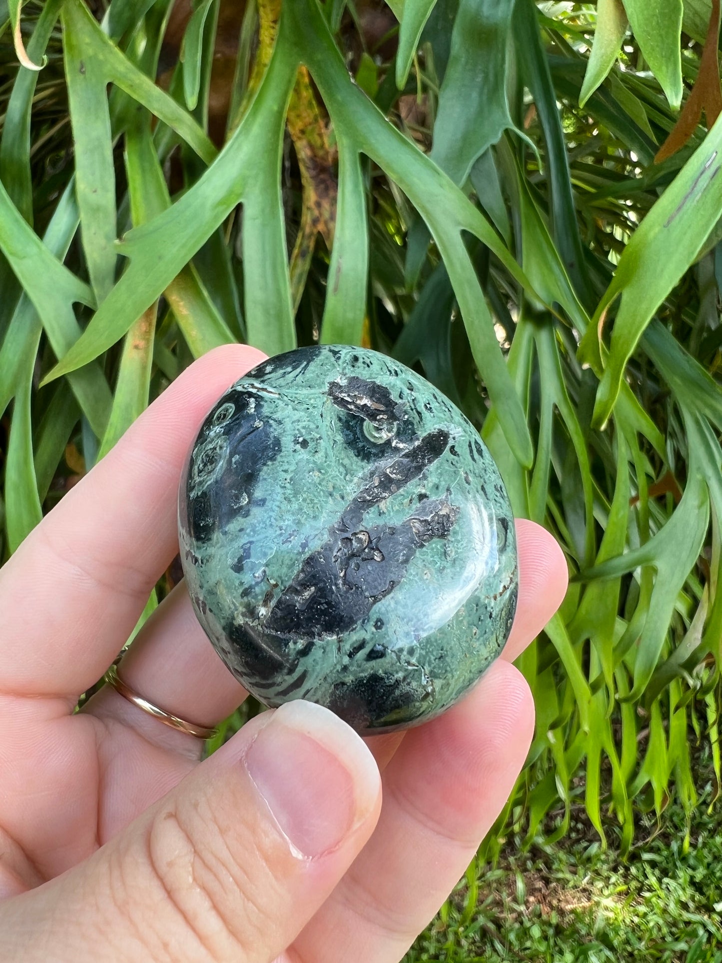 Kambaba Jasper Palm Stone