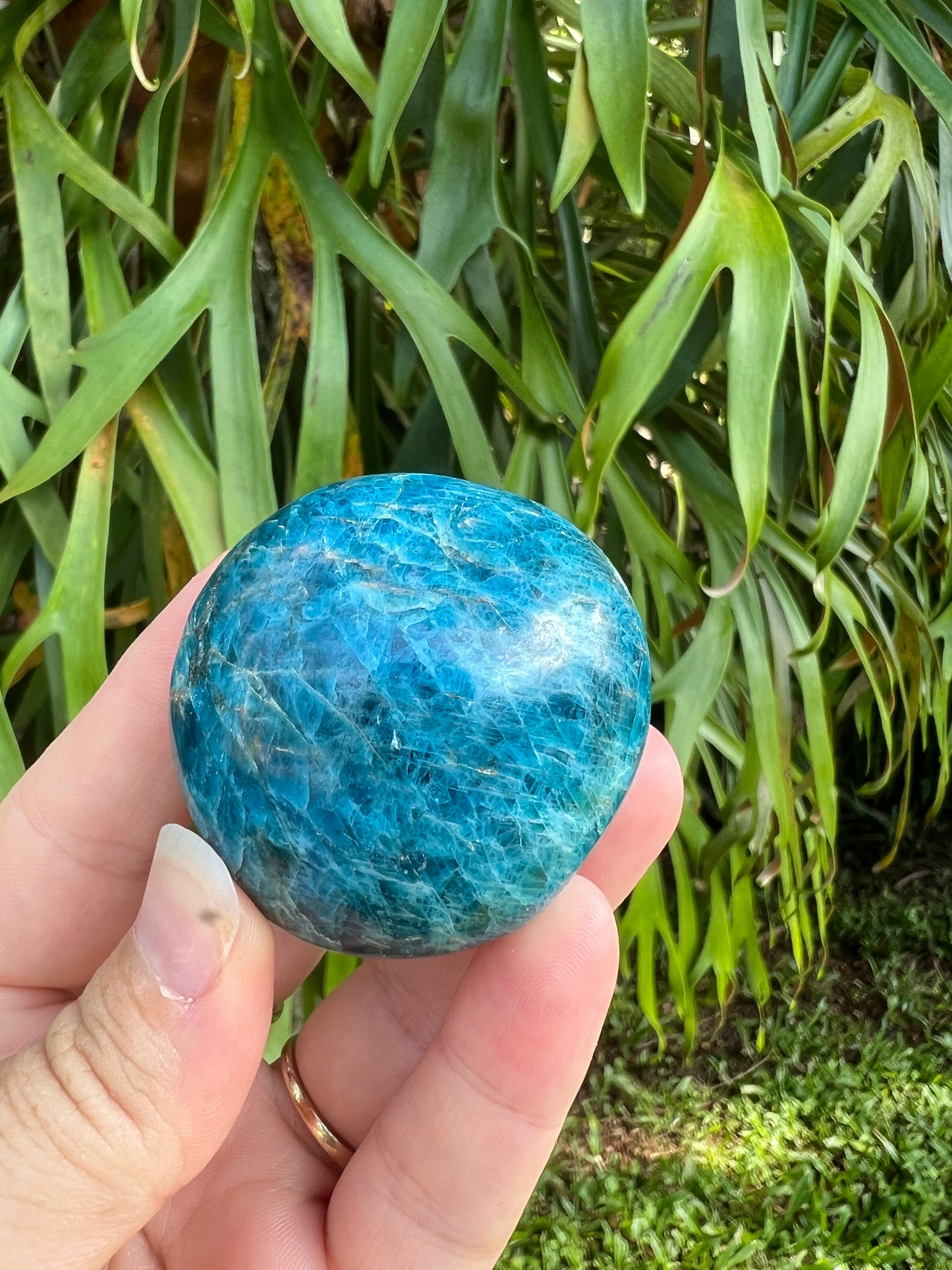 Blue Apatite Palm Stone