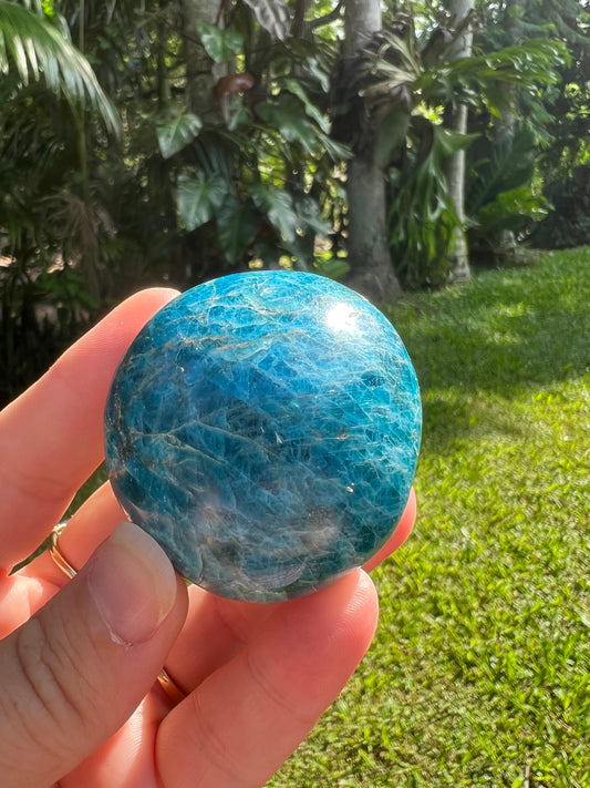 Blue Apatite Palm Stone