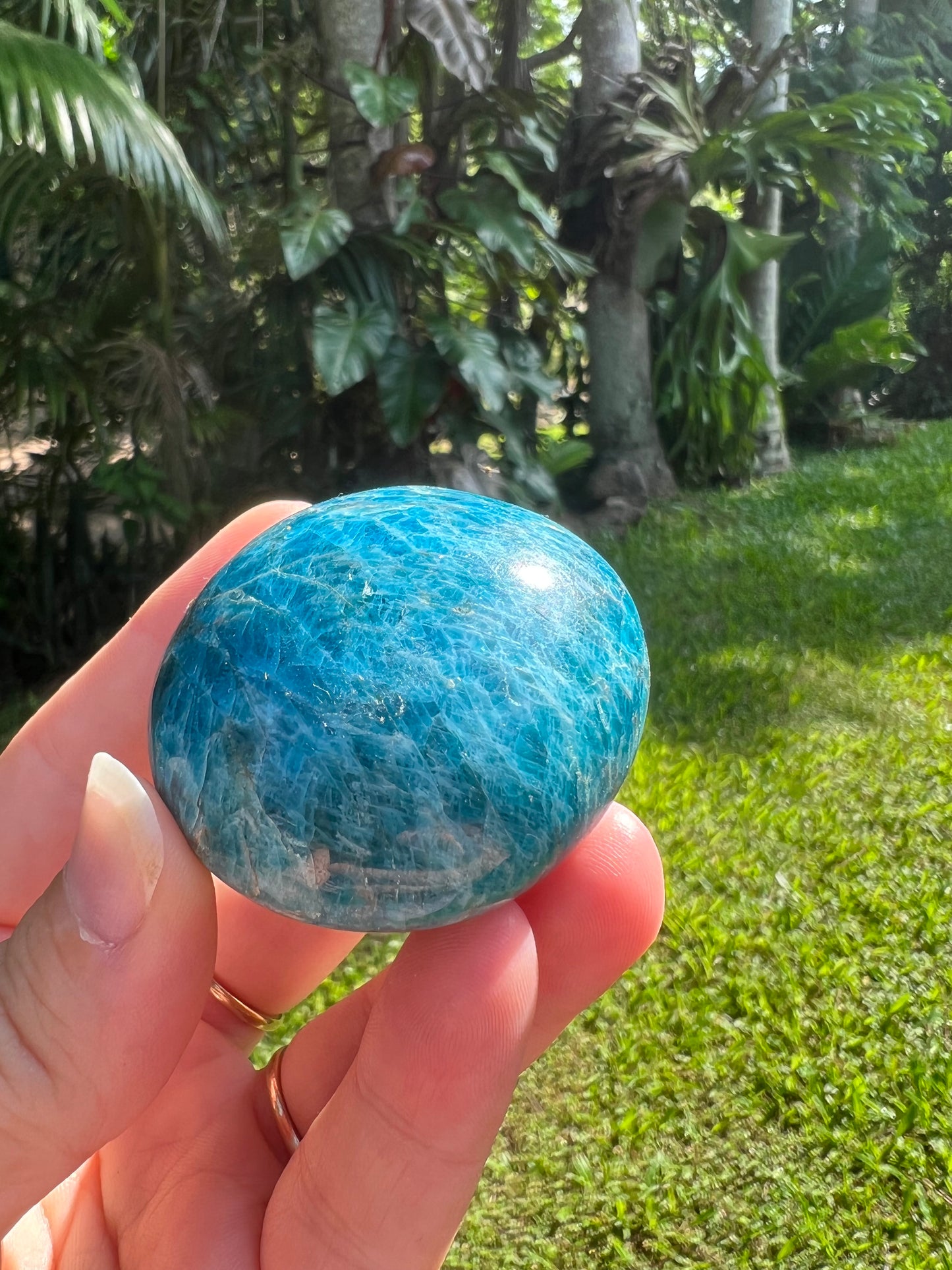 Blue Apatite Palm Stone